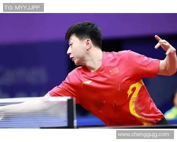 杭州乒乓球队在奥运会上的技术表现分析与点评展望